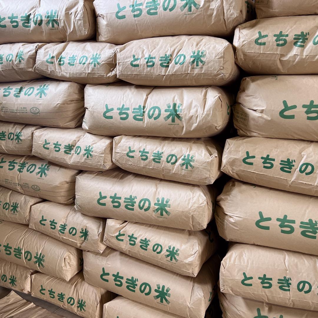 白米10kg◇令和７年産コシヒカリ白米10キロ◇栃木県産新米