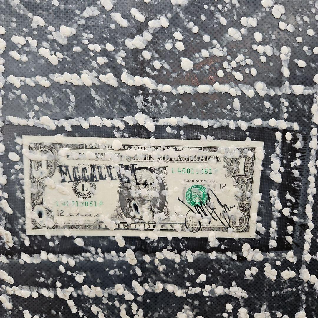 マッカラム6'8フィッシュツイン