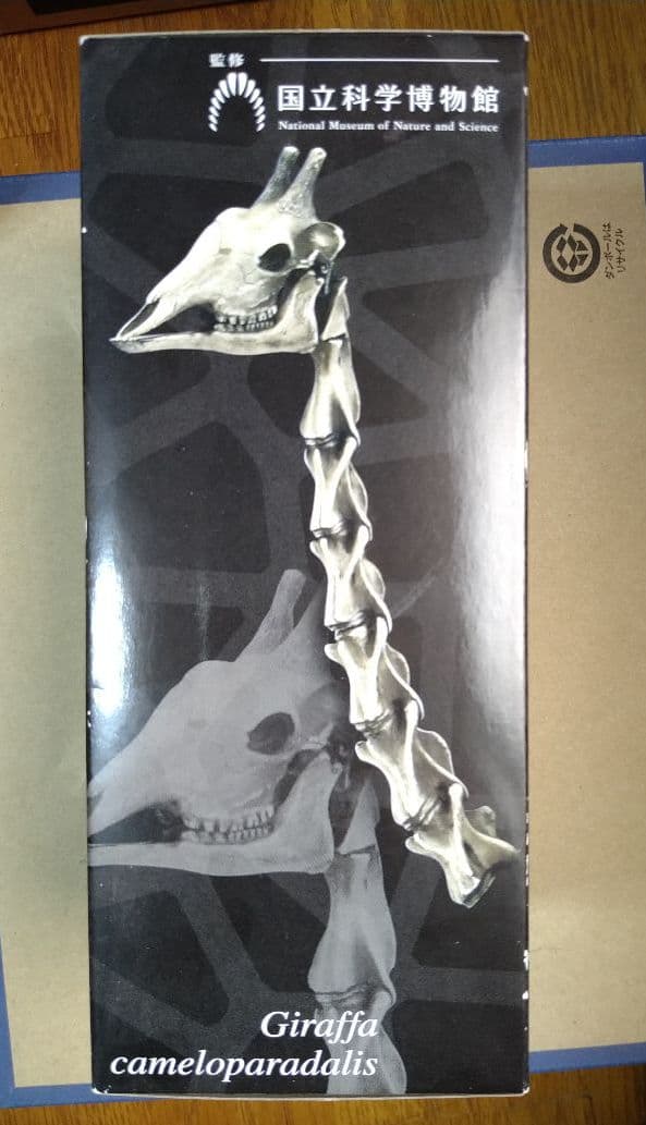 大哺乳類展 会場限定 ツノのある動物図鑑 キリンBOX