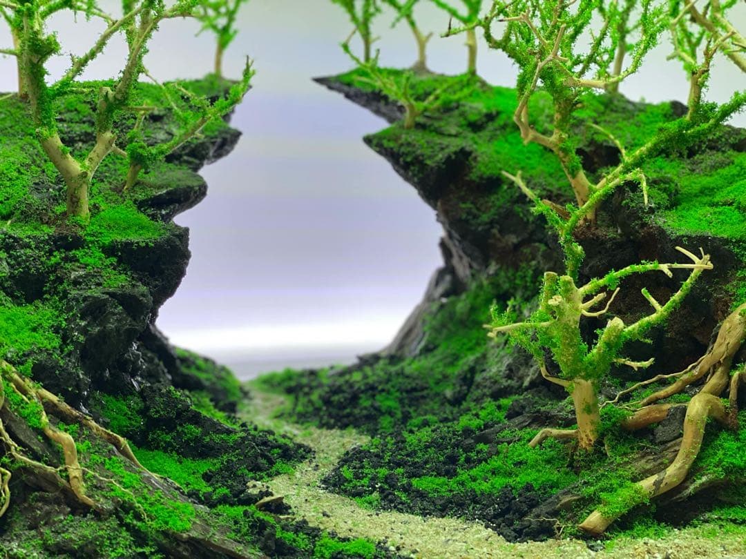 【在庫処分　半額OFF】自然美水景レイアウト – メンテナンス不要で常に緑豊か！