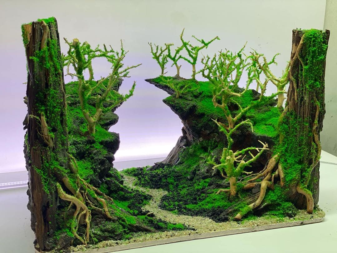 【在庫処分　半額OFF】自然美水景レイアウト – メンテナンス不要で常に緑豊か！