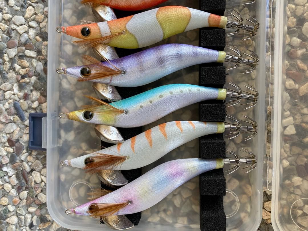 【未使用品】限定品　エギ 10個セット 透明ケース付き　エギ王Q 限定