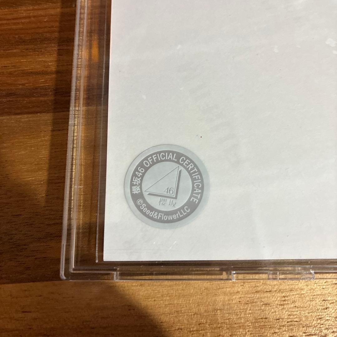 森田ひかる サイン入り写真 クリスマス衣装　直筆