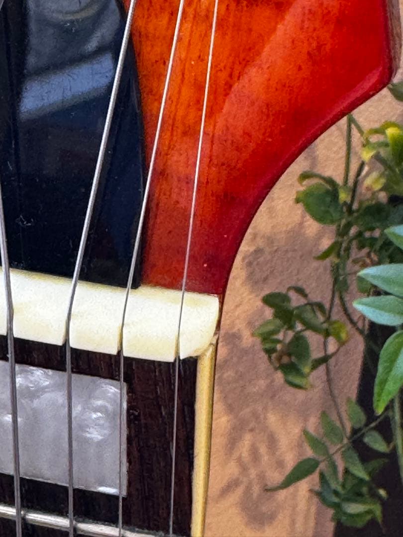 Landscape セミアコースティックギター