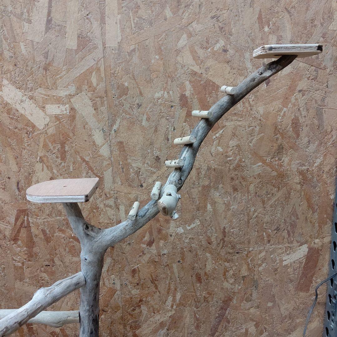 しょうた枠バードアスレチックジム大型(62) 鳥インコ止まり木、流木、