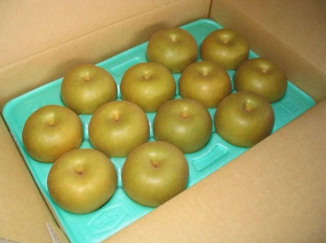 はる　10キロ　秋月