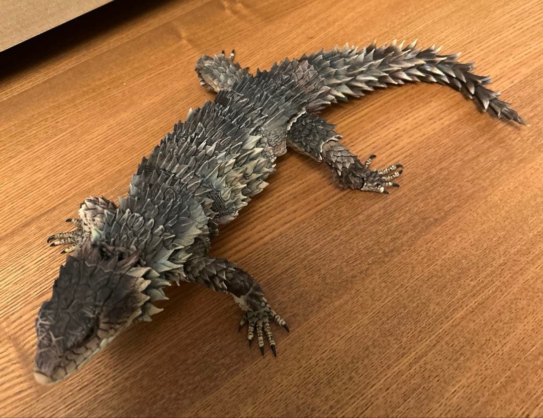 いきもの大図鑑　アルティメット　 オオヨロイトカゲ