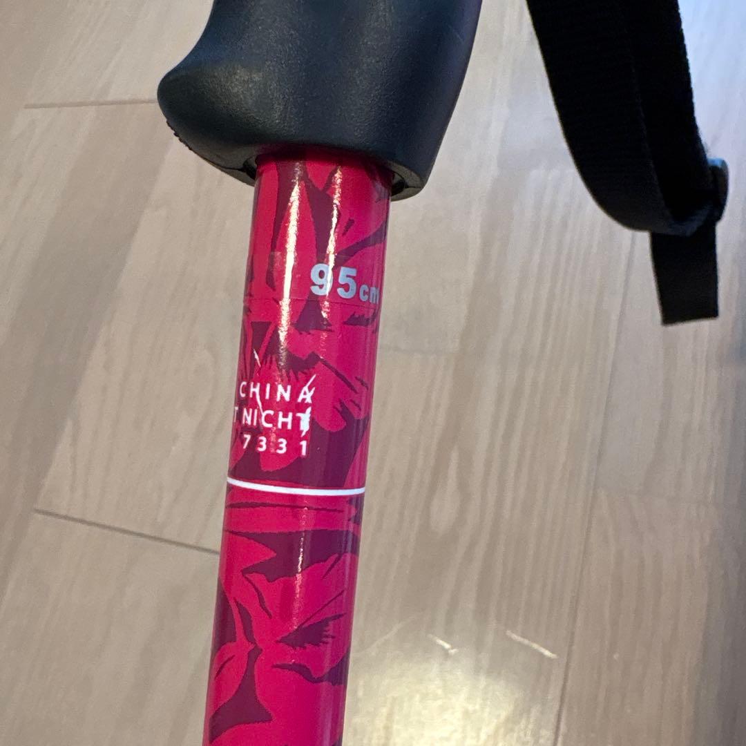 ROSSIGNOL ロシニョール EXPERIENCE 122cm ポール95㎝