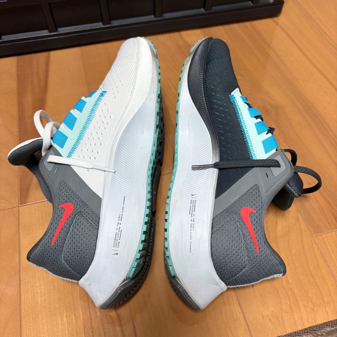 ズームペガサス