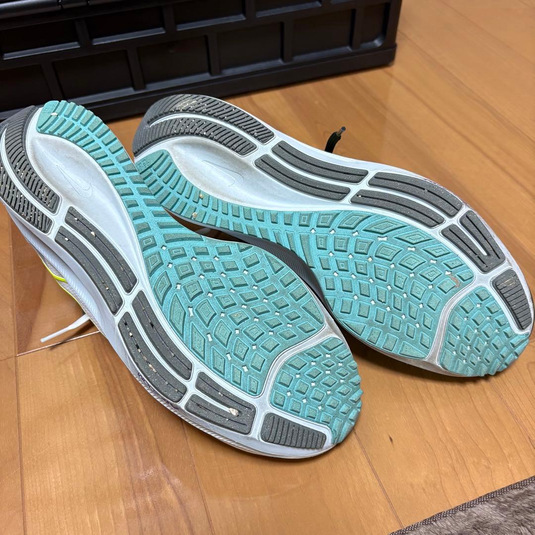 ズームペガサス