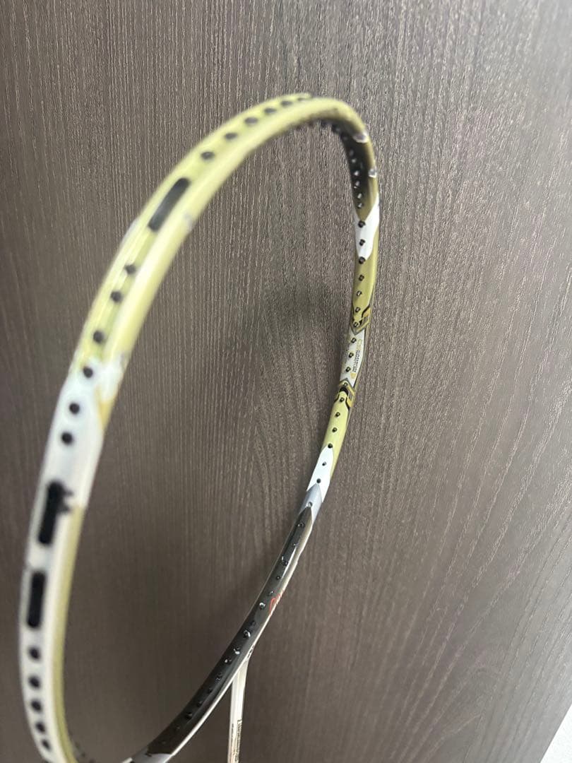 【限定品】アークセイバー10 ピーターゲードモデル 3UG5