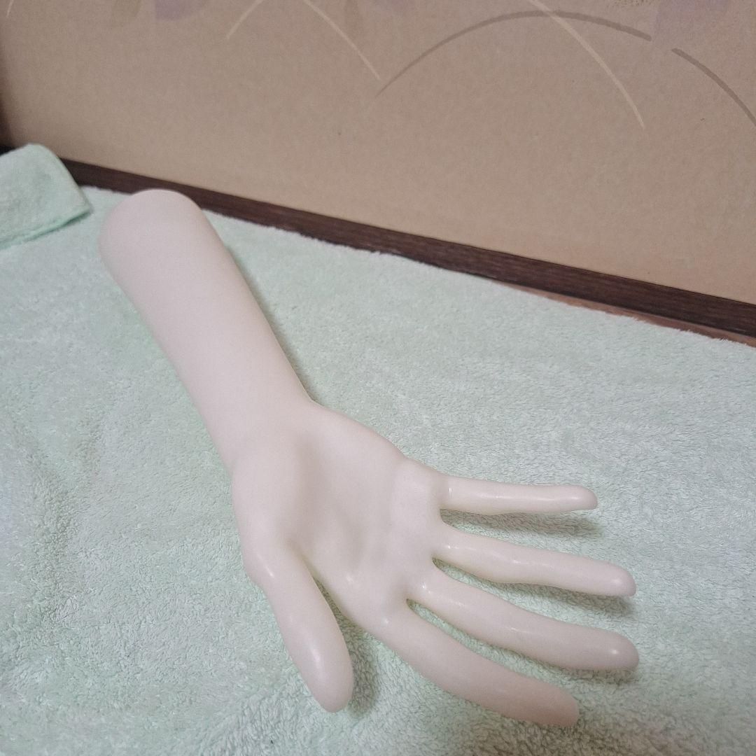 Nonna4057  ヘッドマネキン ハンドマネキン トルソー セット