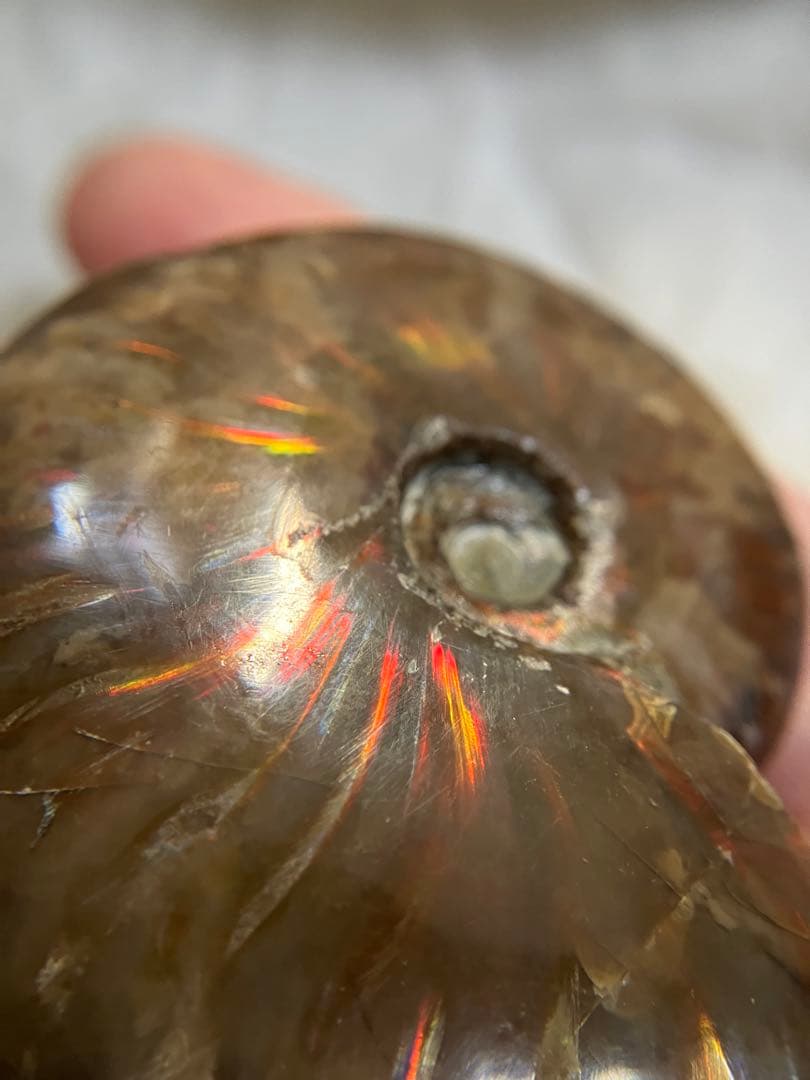 天然石 アンモライト アンモナイト 73g 6.5cmマダガスカル 鉱物標本