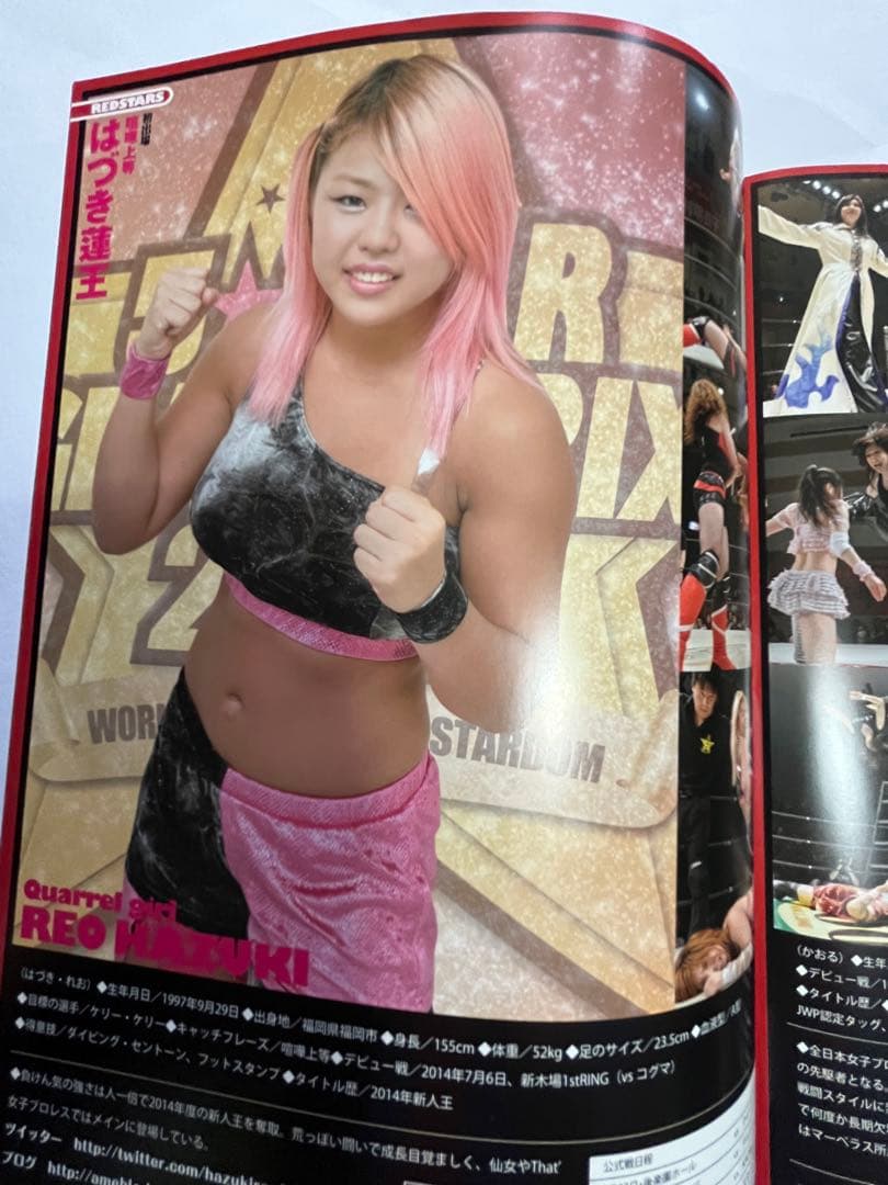 スターダム観戦ガイドブック 紫雷イオ、岩谷麻優、サンダーロックカード付き