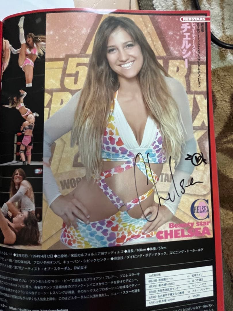 スターダム観戦ガイドブック 紫雷イオ、岩谷麻優、サンダーロックカード付き