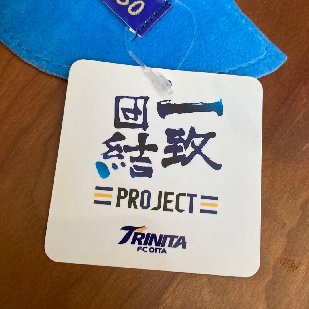 圧倒的ニータン　ぬいぐるみ　タグ付き　クラファン限定特大　大分トリニータ