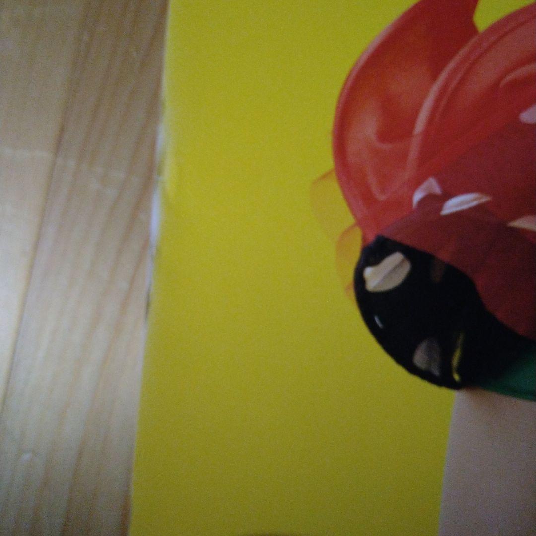 宍戸留美　大サイズポスター