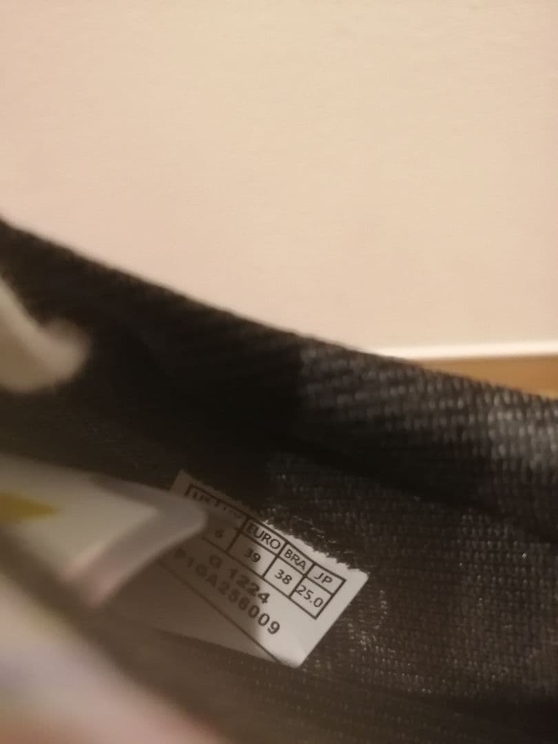 ミズノアルファ2ジャパン 左25.0　右24.5