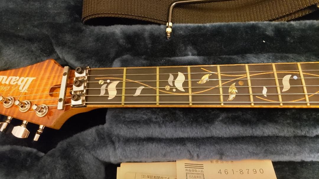 Ann　Ibanez RG8670 VV J-CUSTOM