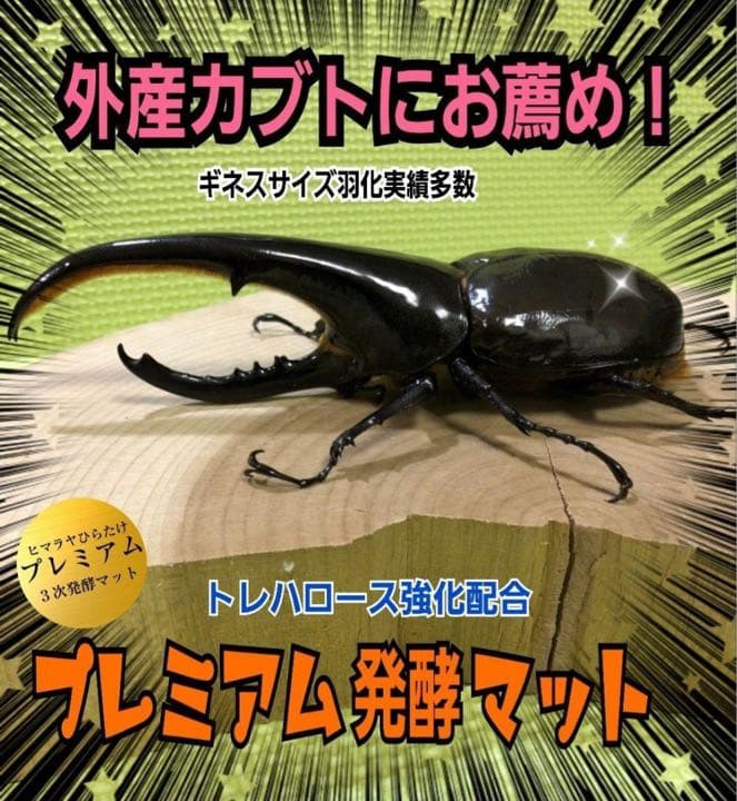 極上☆ギネス狙いに！プレミアム3次発酵カブトムシマット【8袋】特殊アミノ酸強化！