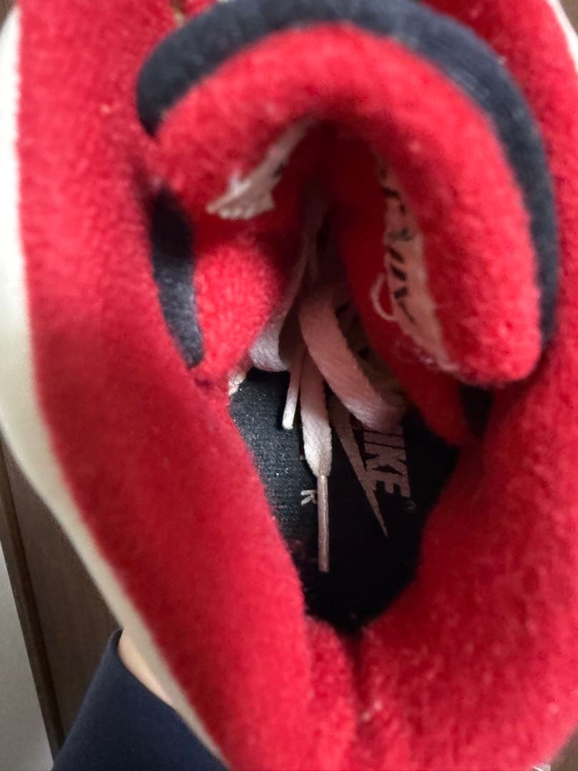 AIR JORDAN エアジョーダン 5 オリジナル　1990年製　1985年製