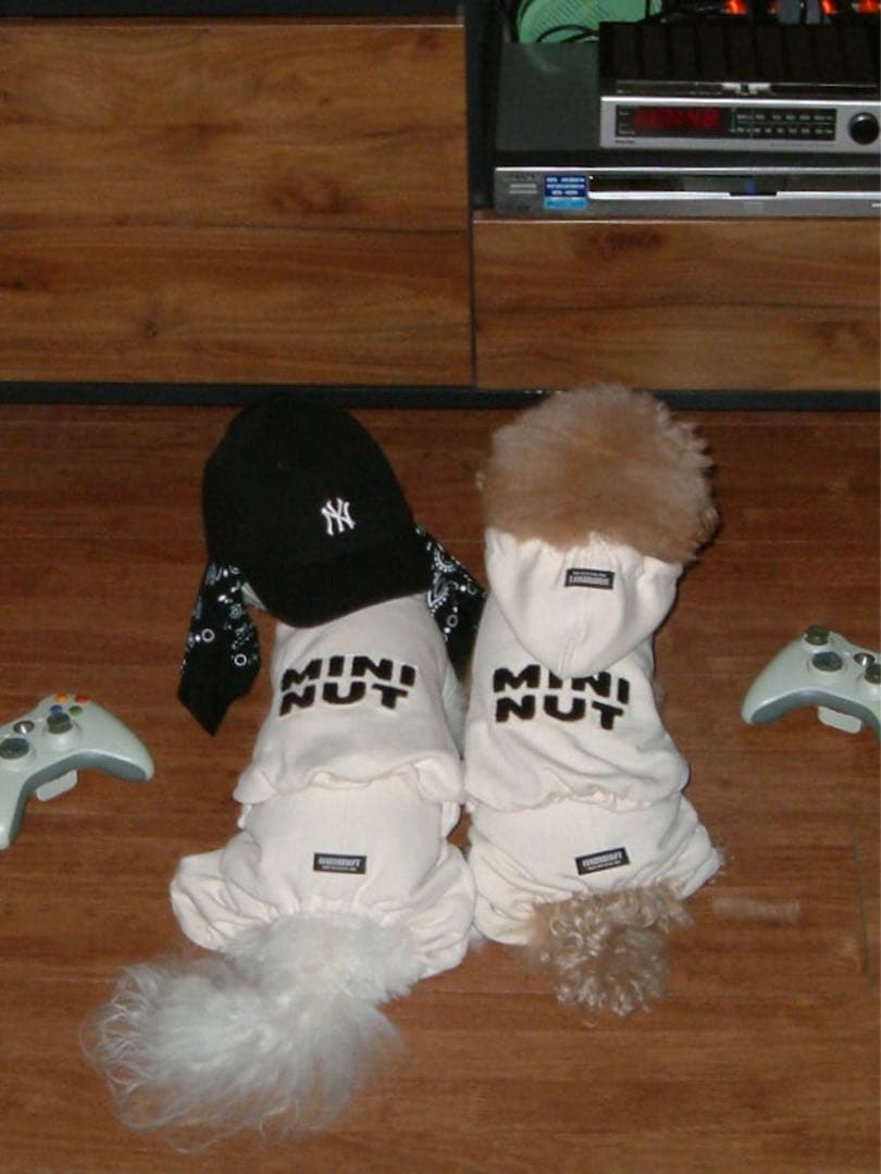 韓国ブランド　mininut logo patch hoodie パーカー