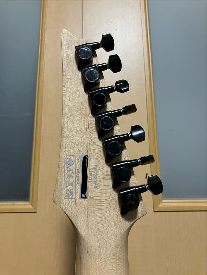 Ibanez 7弦ギター RG7320EX-BKF [SPOT MODEL］