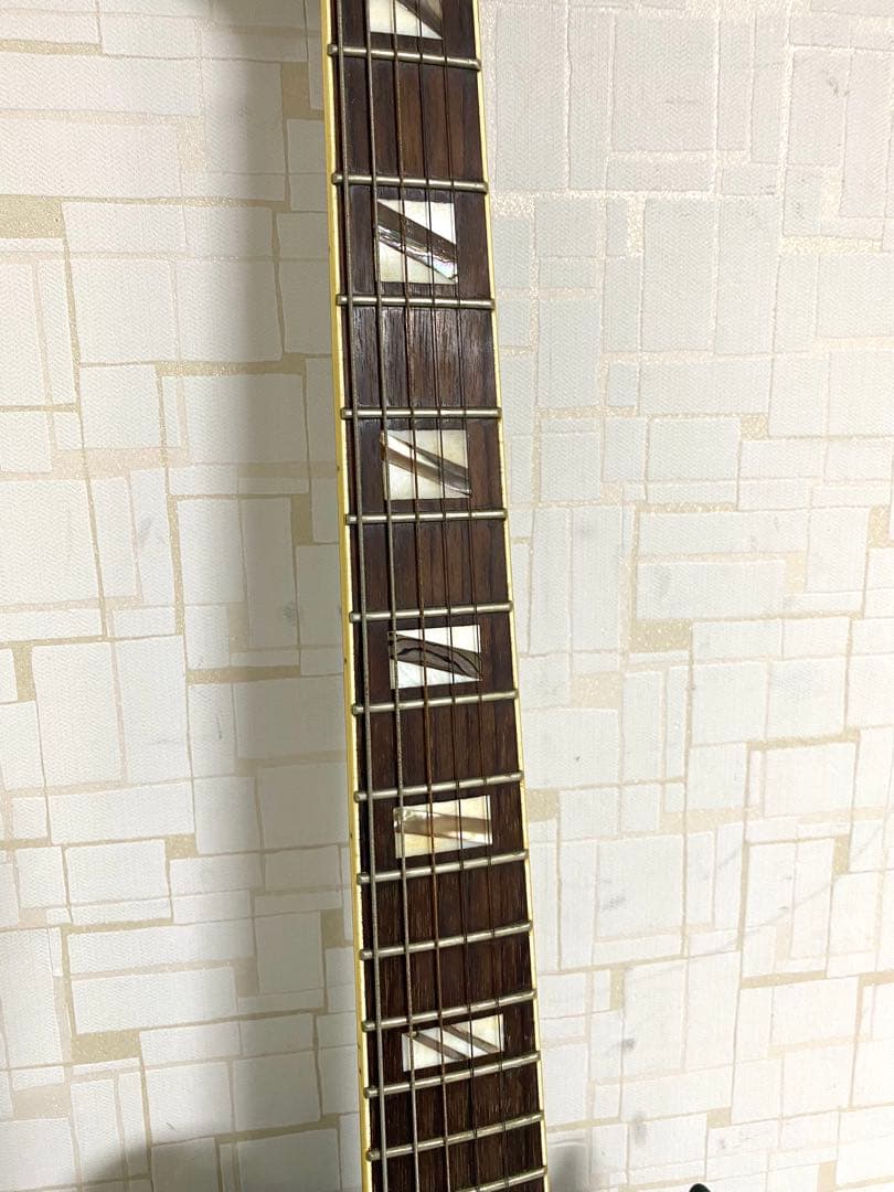 Aria Pro Ⅱ エレキギター レスポール オリジナルカスタムボディ