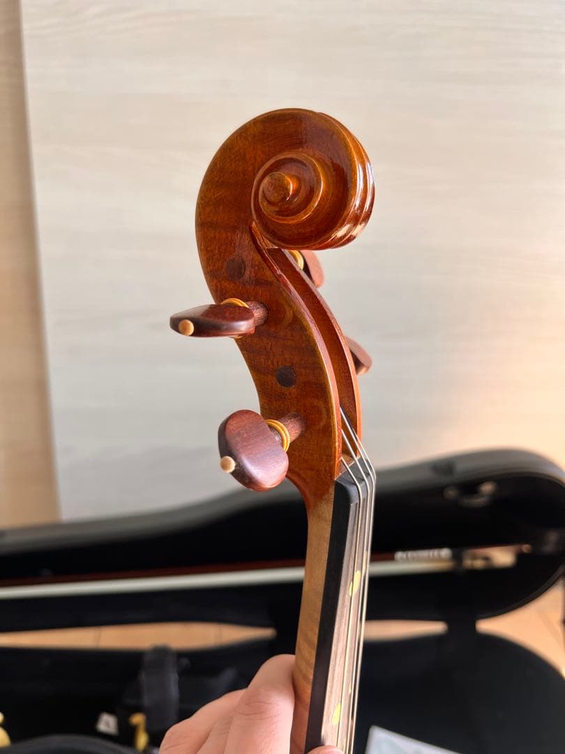 Pyroviolin 4/4バイオリン本体Gewaケース付き