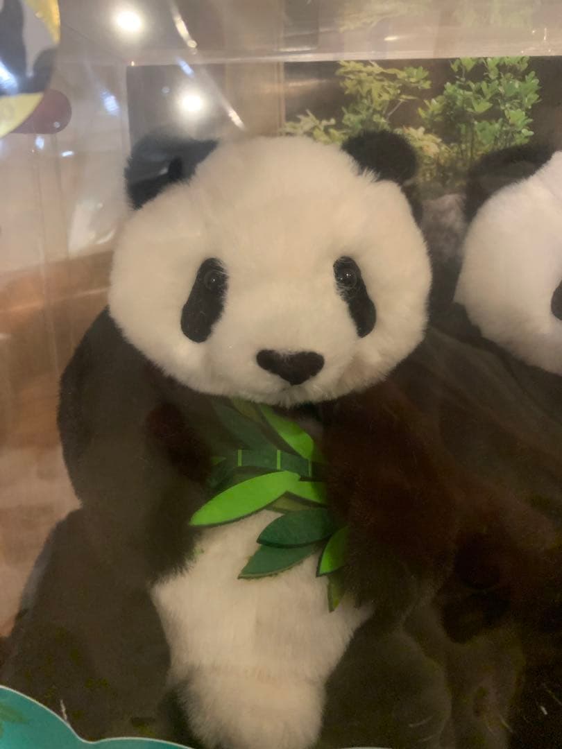 【完売商品】ぬいぐるみ シャオシャオ レイレイ パンダ 上野動物園
