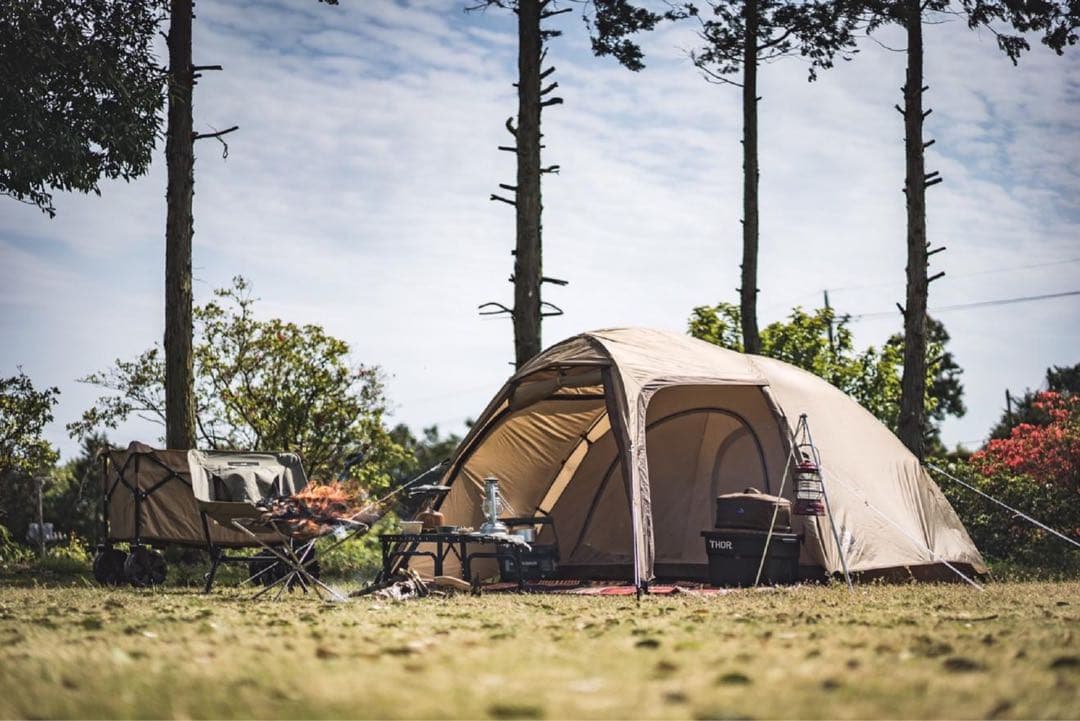 ogawa.ステイシーST-II