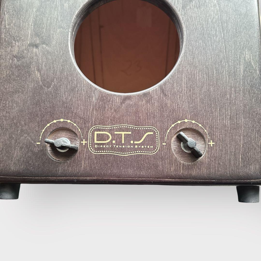 カホン J.Leiva ALMA CLASSE スペイン製 ケース付き