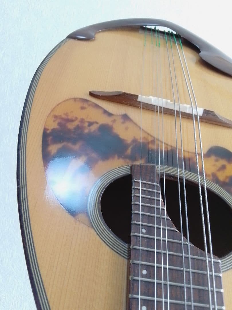 木曽鈴木 マンドリン M-50 石川捷二郎監修 ベネチア ハードケース付