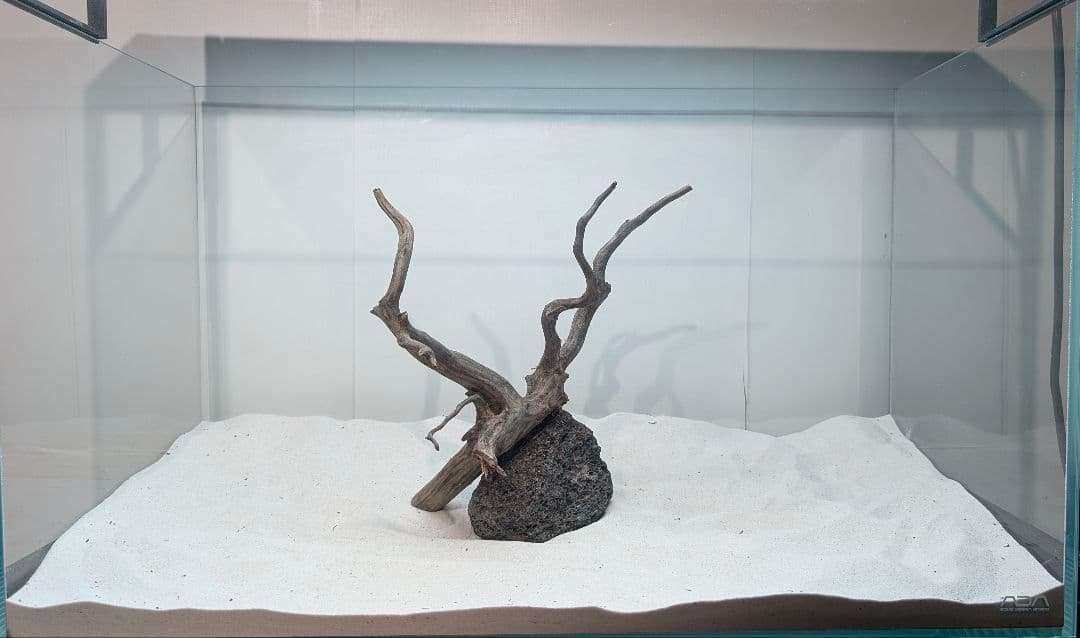 レイアウトセット【LBB009】 ブラックスマトラブランチウッド まとめ買い対応