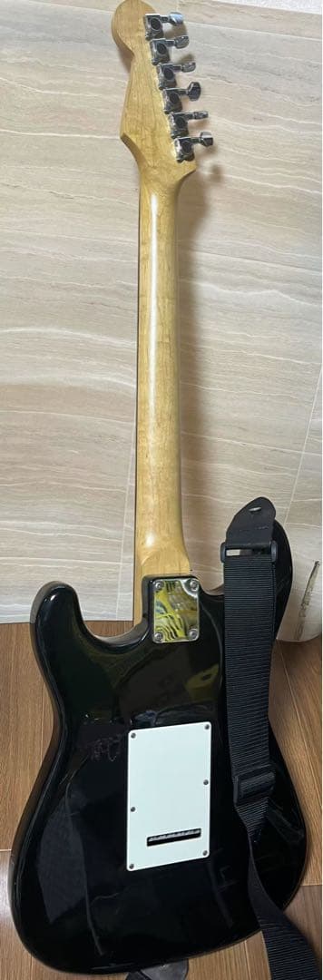 エレキギターborn in the states developed