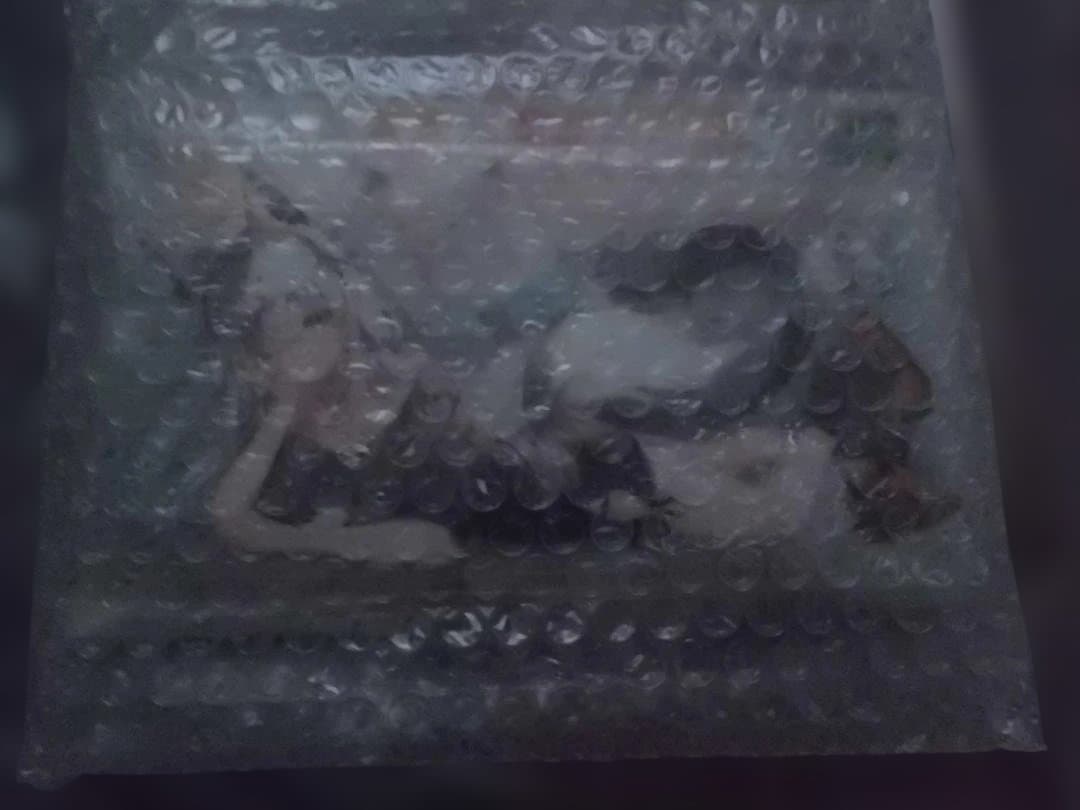 白上フブキ　生誕記念2023グッズ