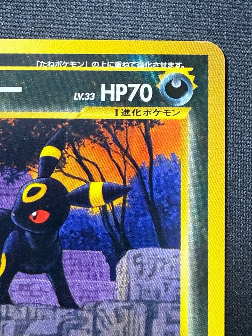 ★ポケモンカードneo 旧裏 ブラッキー LV.33 プレミアムファイル★