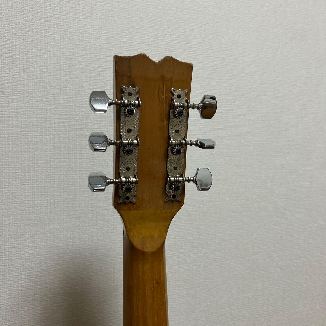 ビザールギター　レスポールタイプ　マツモク系