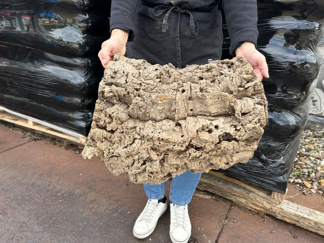 ポルトガル産コルク樹皮ＰＬ-1029-Ｌ12