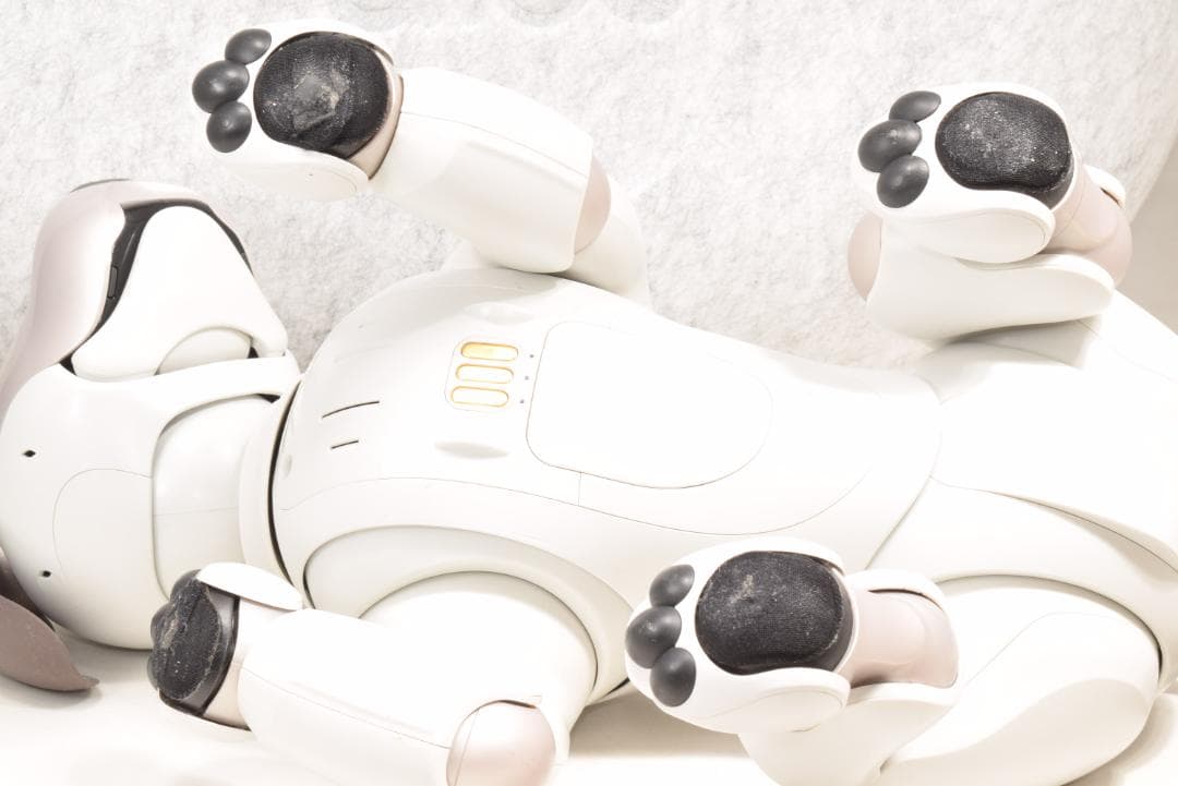 ソニー アイボ ERS-1000 アイボーン ボール AIBO 犬型 SONY