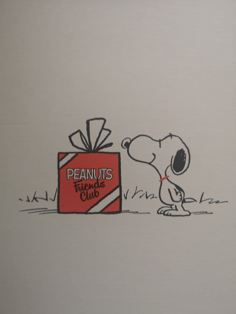 値下げ♣️ピーナッツフレンズクラブ♣️ファンクラブグッズ