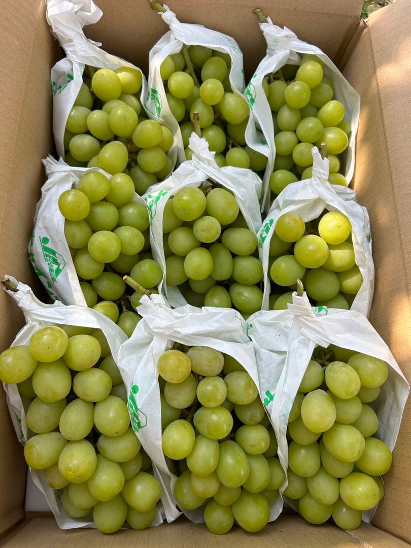 山梨県産　ぶどう　シャインマスカット 正味5キロ　家庭用　そろそろ終わり