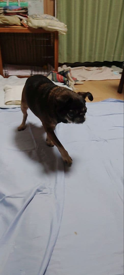 ＡＫＡＲＩさまへ