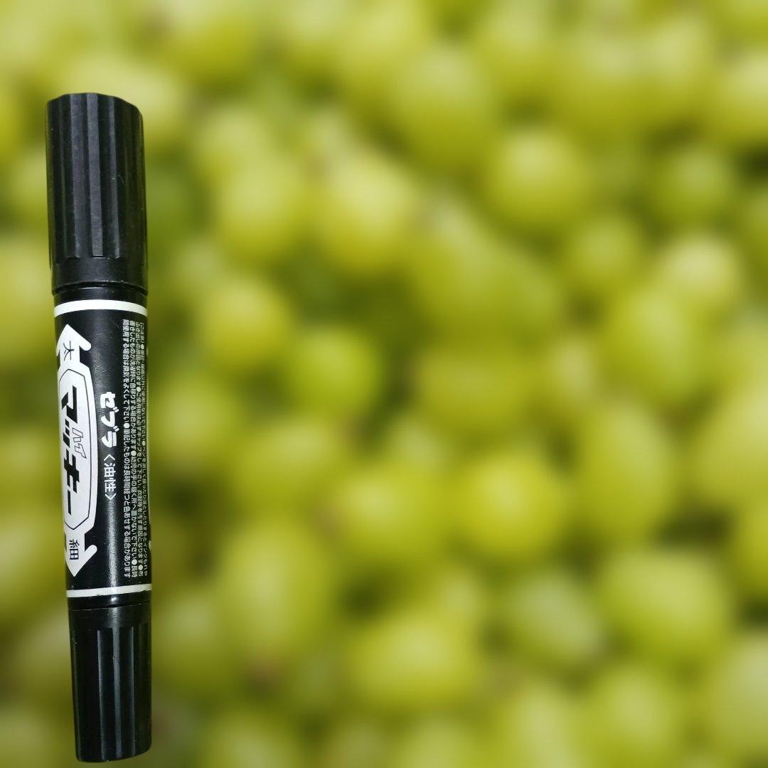 シャインマスカット増量の、徳用11キロ入りの粒バック入りになります。