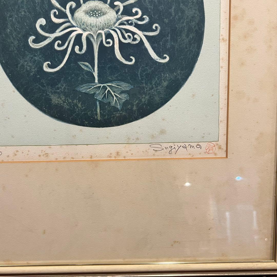 杉山有　リトグラフ　菊　4/50 Sugiyamayu