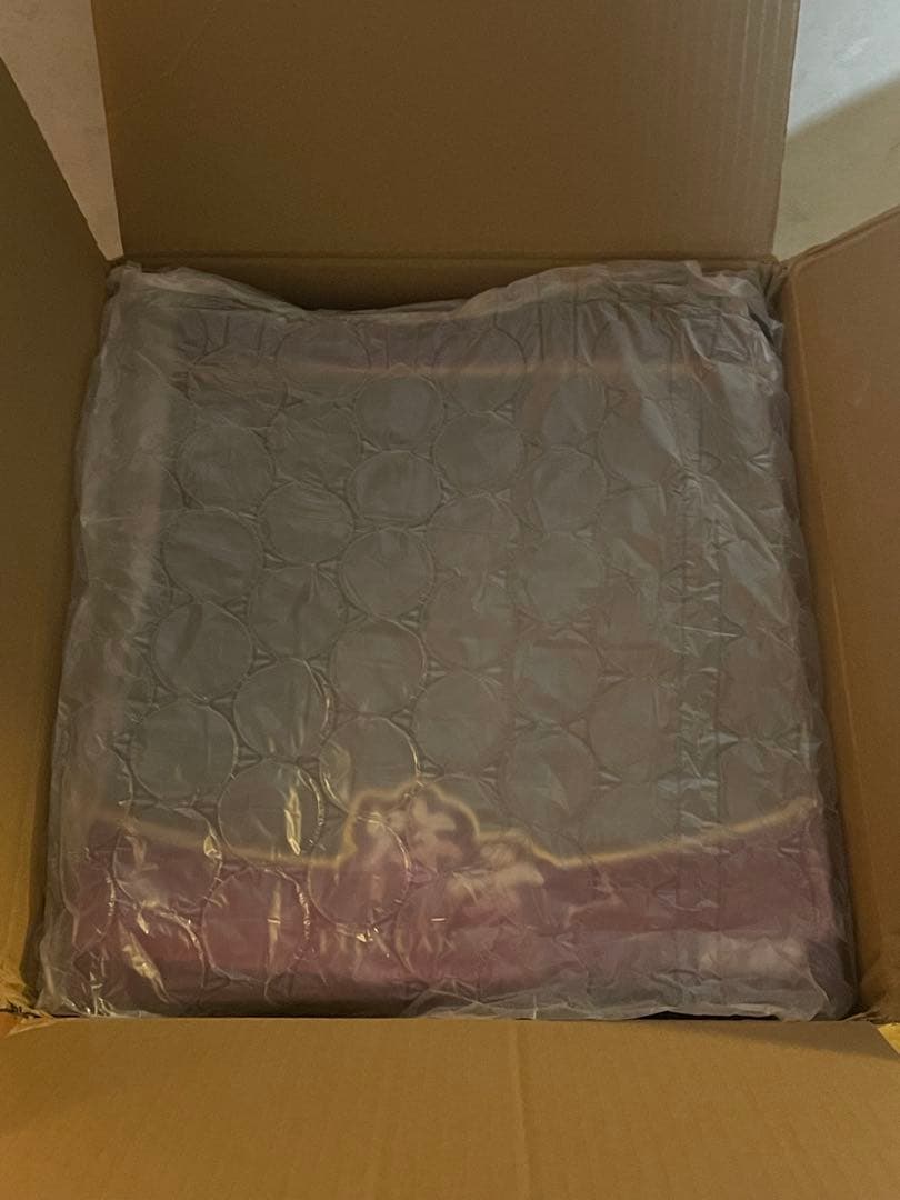 APEX 崩壊スターレイル 符玄 フィギュア 背景 豪華版ケース セット 未開封