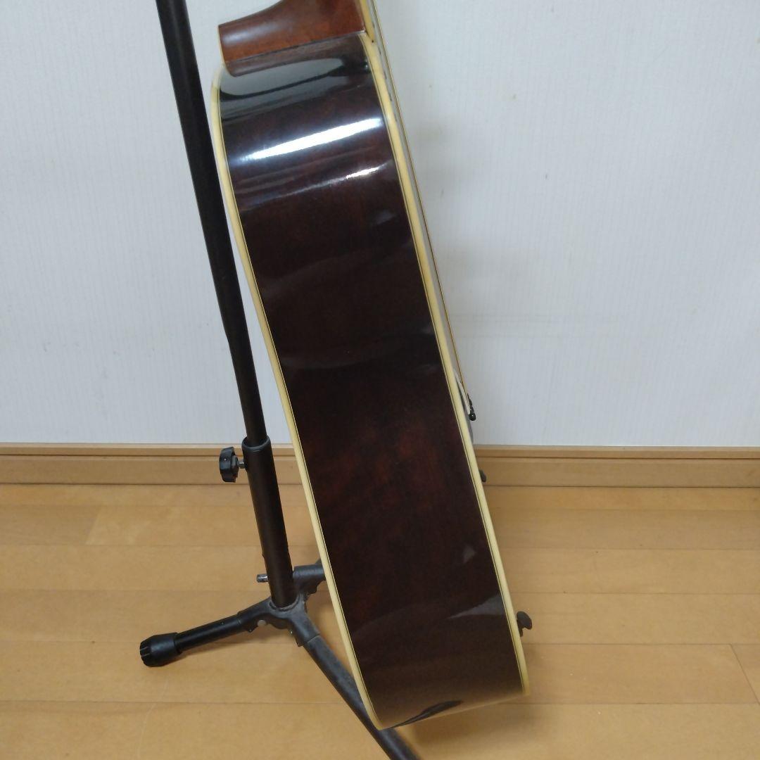 Morris W-25 アコースティックギター