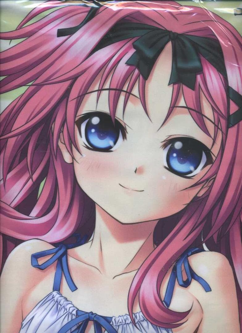 神奈月昇 抱き枕カバー　メッセサンオー