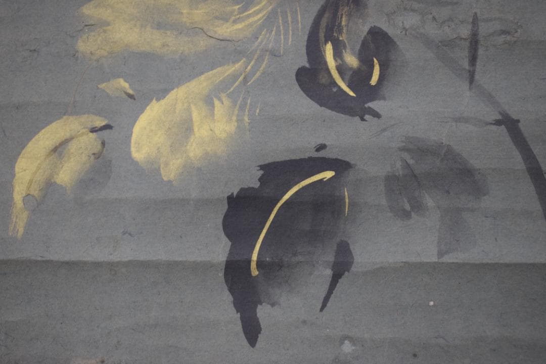 【真作】狩野養川院惟信/花図/牡丹図/掛軸☆宝船☆Y-610　JM