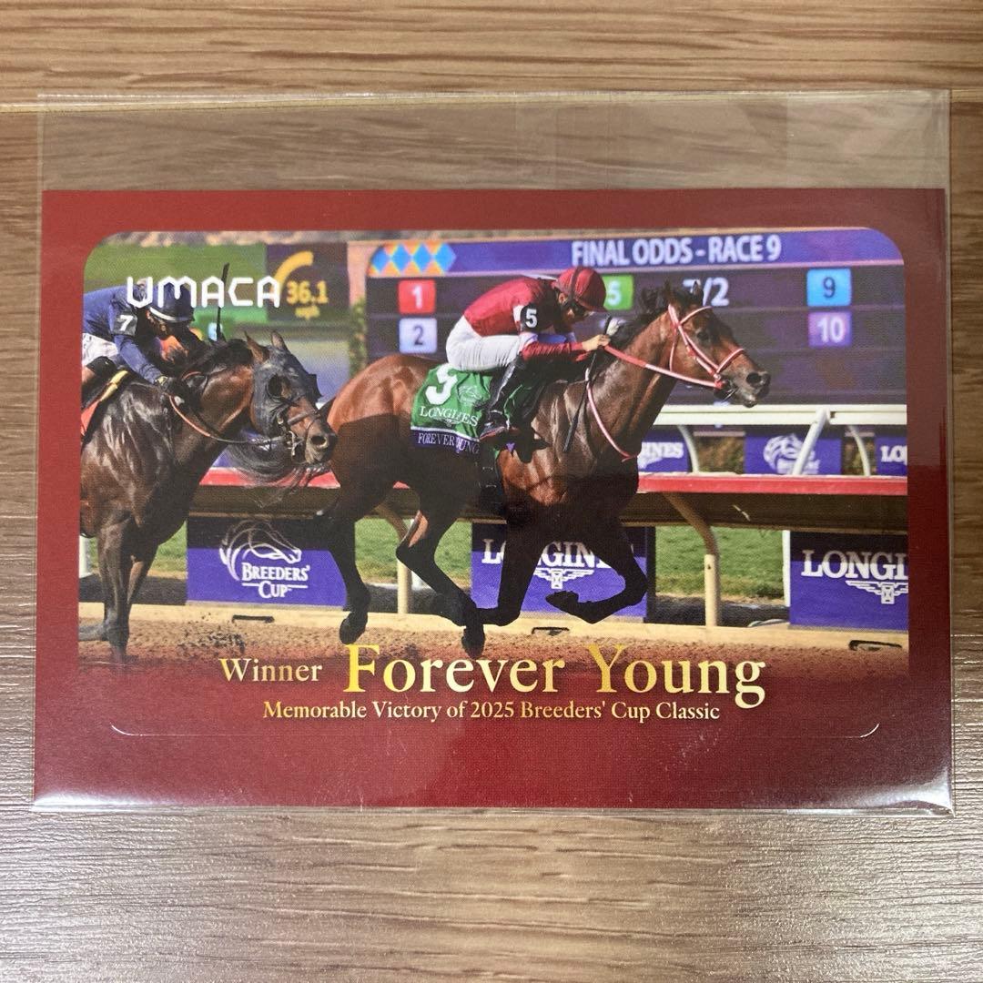 フォーエバーヤング BC優勝記念 キャップ・シール・ポストカード3点セット